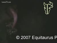 A guy masturbates animal sex with a dog in this Homemade porn